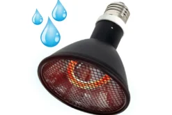 La Ferme Tropicale - Lampe à résistance chauffante - deep heat splash proof - 80w - ampoule / chauffage pour reptiles (lézards, serpents), amphibien Best