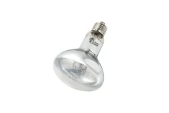 La Ferme Tropicale Eclairage | - Lampe uvb auto ballastée 75w - super sun- ampoule pour le chauffage et l'éclairage destinés aux reptiles (lézards, serpents), am
