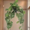 La Green Touch Fleurs Et Plantes Artificielles | - Anthurium clarinerdium plante artificielle - h80cm, ø18cm