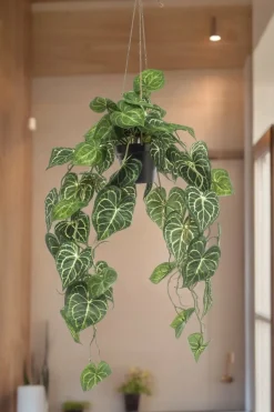 La Green Touch Fleurs Et Plantes Artificielles | - Anthurium clarinerdium plante artificielle - h80cm, ø18cm