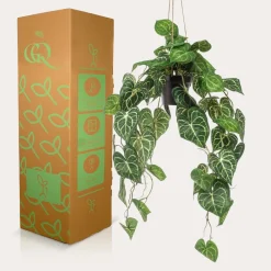 La Green Touch Fleurs Et Plantes Artificielles | - Anthurium clarinerdium plante artificielle - h80cm, ø18cm