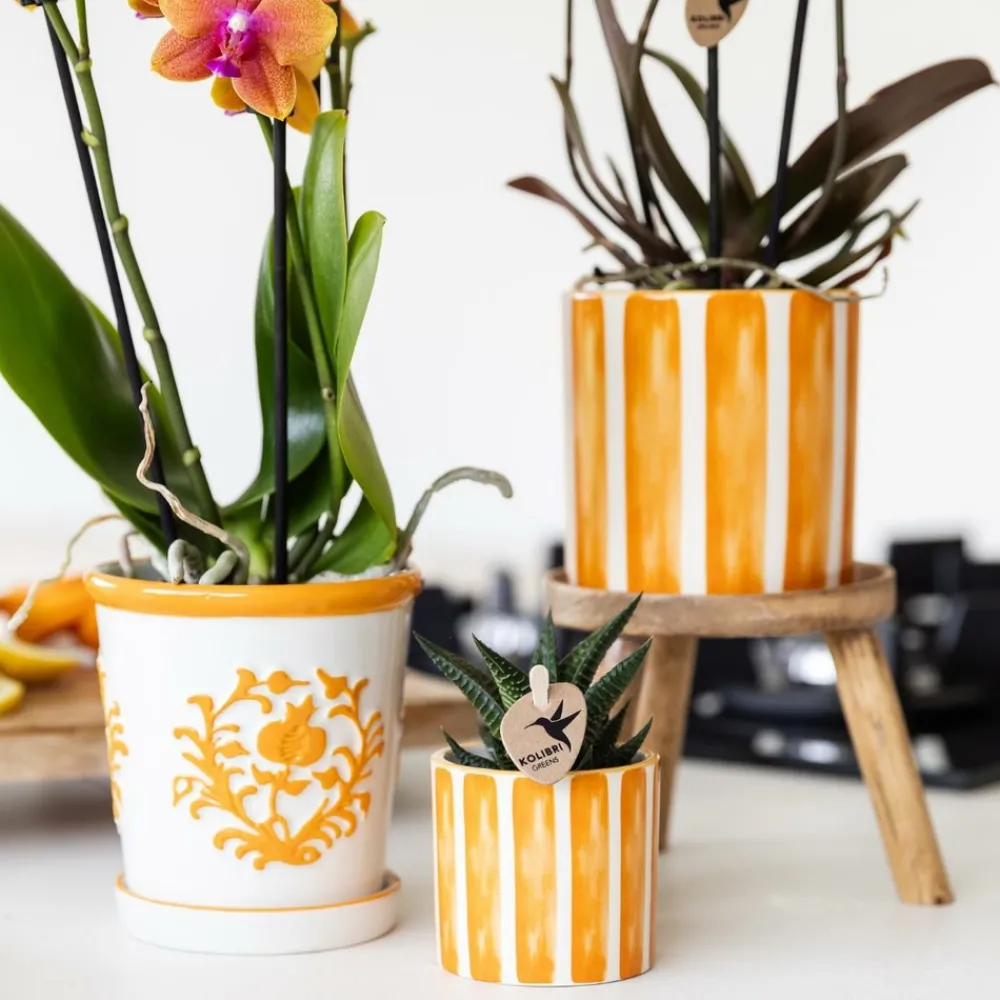 La Green Touch - Cache-pot malaga orange Sale