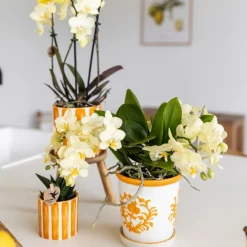 La Green Touch - Cache-pot malaga orange Sale