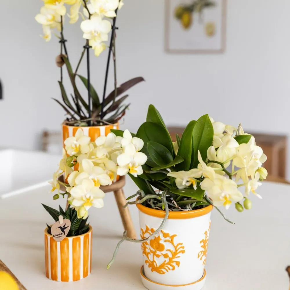 La Green Touch - Cache-pot malaga orange Sale