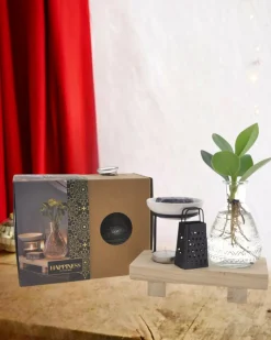 La Green Touch - Coffret happiness plante en hydroculture Sale