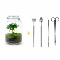 La Green Touch - Kit terrarium diy - oslo caféier - rateau + pelle + pince + ciseaux Hot