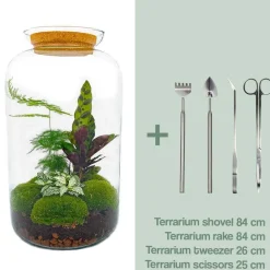 La Green Touch - Kit terrarium diy - salen - rateau + pelle + pince + ciseaux Outlet