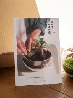 La Green Touch Terrariums Et Compositions | - Kit terrarium diy - bohol