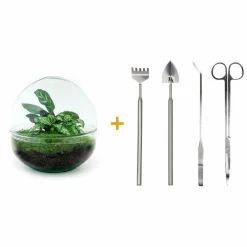 La Green Touch - Kit terrarium diy - dome calathea/fittonia verte - rateau + pelle + pince + ciseaux Clearance