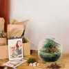 La Green Touch Terrariums Et Compositions | - Kit terrarium diy - dome asparagus/fittonia rouge - rateau + pelle + pince + ciseaux