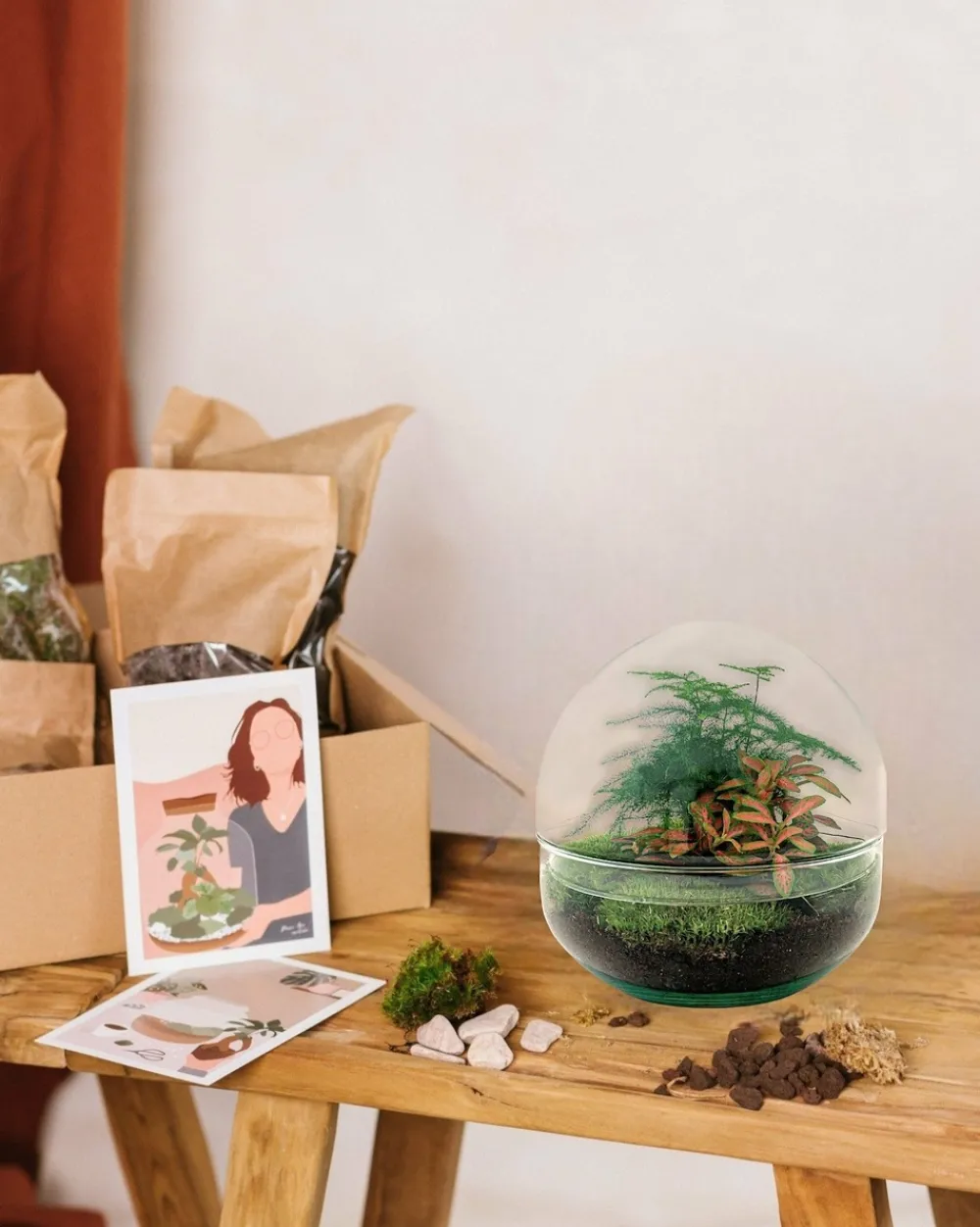 La Green Touch Terrariums Et Compositions | - Kit terrarium diy - dome asparagus/fittonia rouge - rateau + pelle + pince + ciseaux
