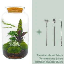 La Green Touch Terrariums Et Compositions | - Kit terrarium diy - salen - rateau + pelle + pince