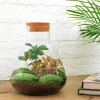 La Green Touch Terrariums Et Compositions | - Kit terrarium diy - doorn ficus + 2 fittonia - rateau + pelle + pince