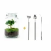 La Green Touch - Kit terrarium diy - oslo caféier - rateau + pelle + pince Sale