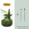 La Green Touch - Kit terrarium diy - salen - rateau + pelle Discount