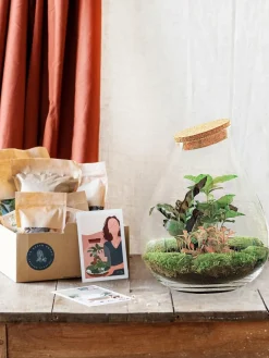 La Green Touch Terrariums Et Compositions | - Kit terrarium diy - doorn calathéa + caféier + fittonia - rateau + pelle + pince
