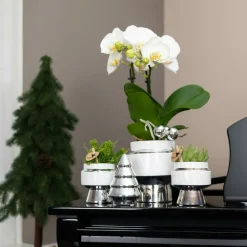 La Green Touch - Le chic : pot en céramique blanche argentée