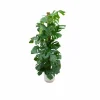 La Green Touch Plantes Vertes | - Monstera pertusum 150cm et son pot blanc - hauteur 150cm