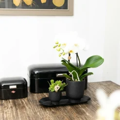 La Green Touch Cache-Pots Et Bacs D'Intérieur | - Plateau ovale noir pour plantes