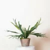 La Green Touch - Platycerium plante artificielle- h50cm, ø15cm Best