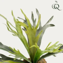 La Green Touch - Platycerium plante artificielle- h50cm, ø15cm Best