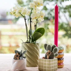 La Green Touch - Pot décoratif candy – haut – vert Outlet
