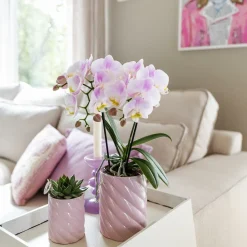 La Green Touch - Pot décoratif candy rose vif New