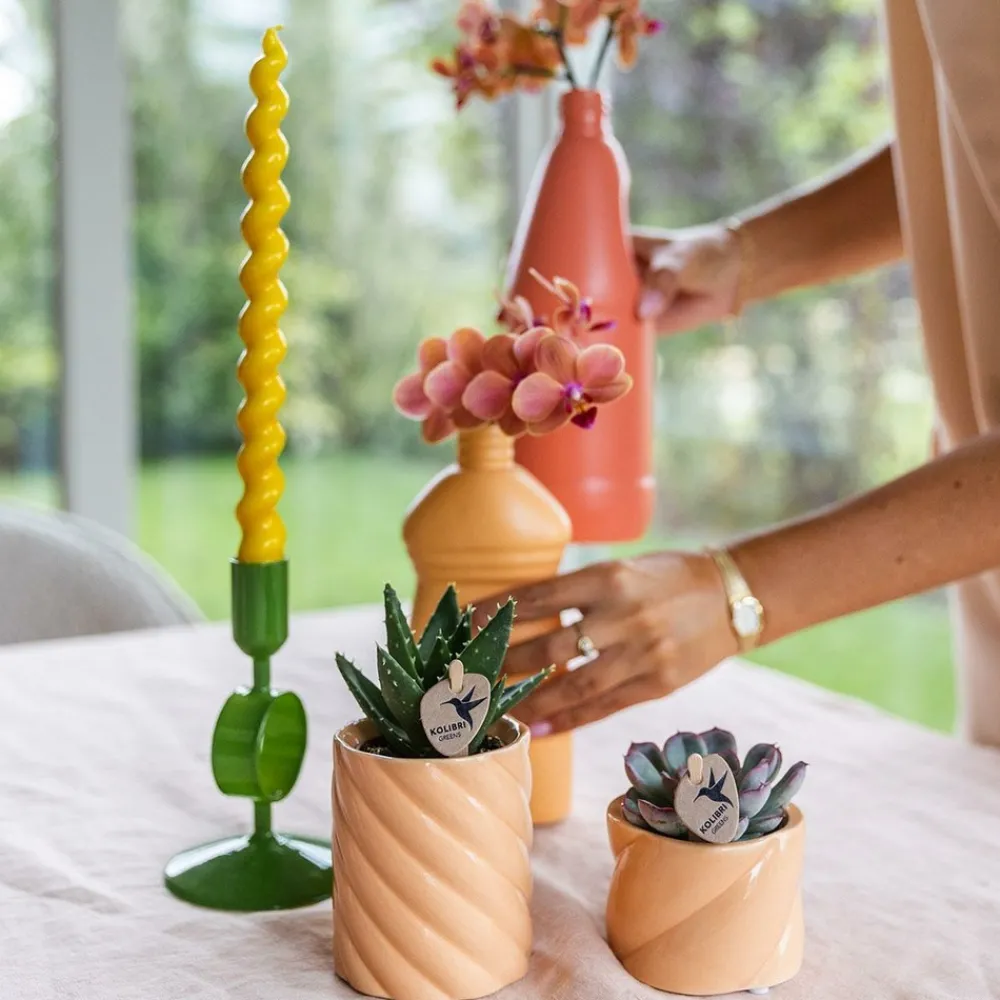 La Green Touch Cache-Pots Et Bacs D'Intérieur | - Pot décoratif candy - peach