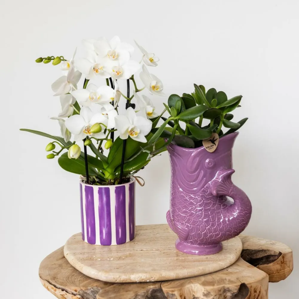 La Green Touch - Pot décoratif fish - lilas