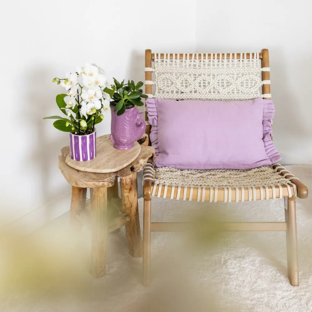 La Green Touch - Pot décoratif fish - lilas