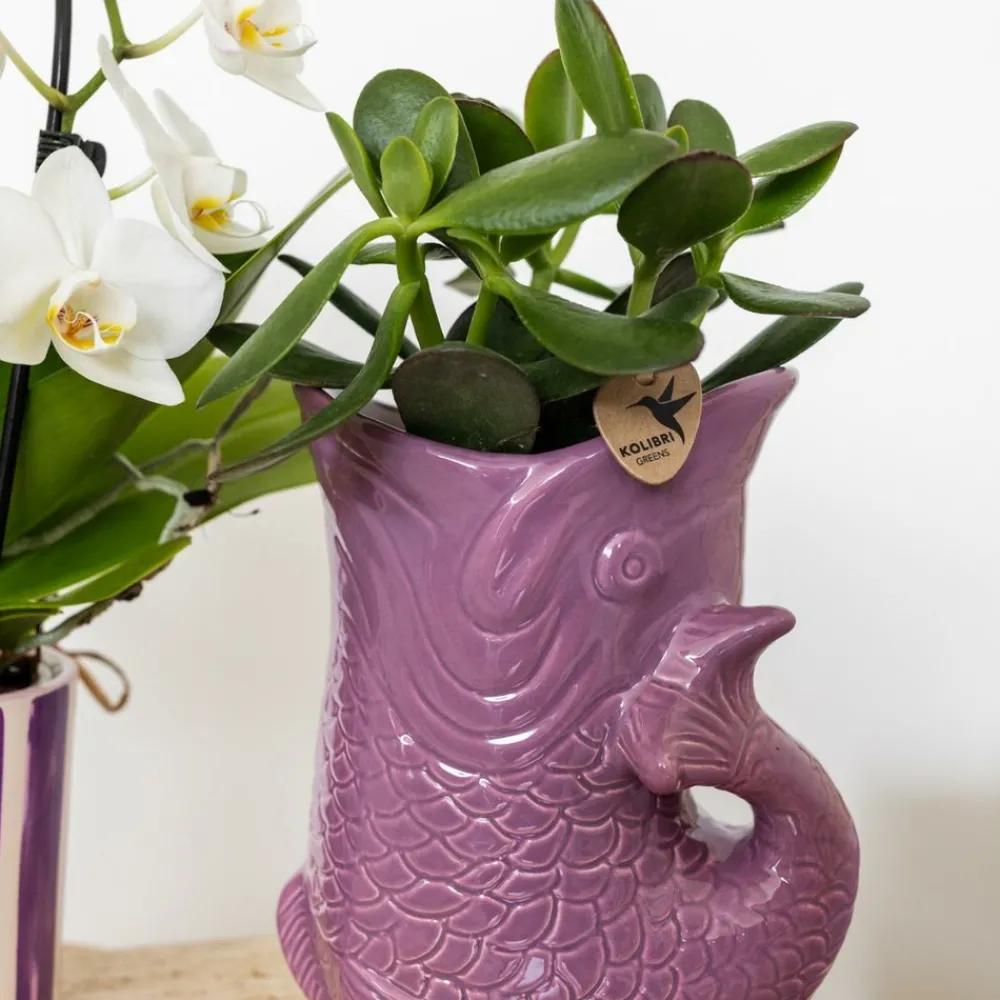 La Green Touch - Pot décoratif fish - lilas