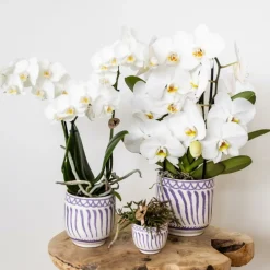 La Green Touch Cache-Pots Et Bacs D'Intérieur | - Pot décoratif granada - lilas