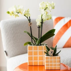 La Green Touch - Pot décoratif mosa orange Sale