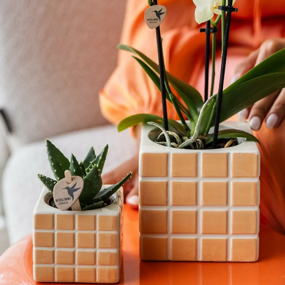 La Green Touch Cache-Pots Et Bacs D'Intérieur | - Pot décoratif mosa - orange
