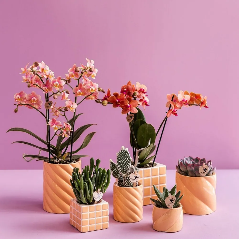 La Green Touch Cache-Pots Et Bacs D'Intérieur | - Pot décoratif mosa - orange