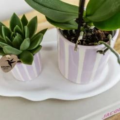 La Green Touch - Pot décoratif rayé peint - rose Best