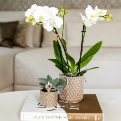 La Green Touch - Pot diamond pearl - sable Hot