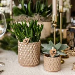 La Green Touch - Pot diamond pearl - sable Hot