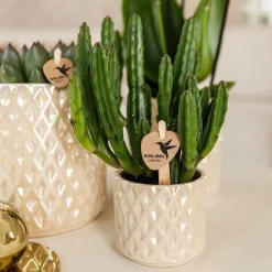 La Green Touch Cache-Pots Et Bacs D'Intérieur | - Pot diamond pearl en travertin