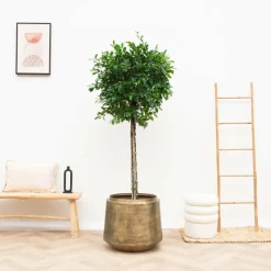 La Green Touch - Pot indigo vintage or 46 cm Outlet