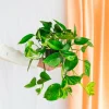 La Green Touch Plantes Vertes | - Scindapsus epipremnum 30cm - plante d'intérieur