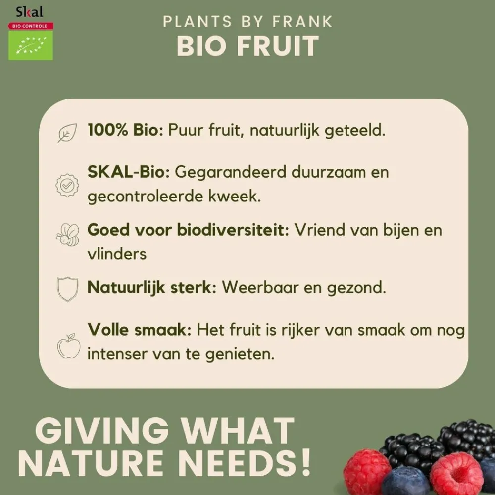 La Green Touch Arbres Et Arbustes | - Set bio de 5 plantes fruitières