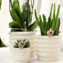 La Green Touch Cache-Pots Et Bacs D'Intérieur | - Sierpot marble light