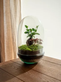 La Green Touch - Terrarium - siquijor Hot