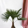 La Green Touch Plantes Méditerranéennes | - Trachycarpus palmier 90cm - plante d'intérieur