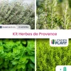 Leaderplant Plants De Légumes Et Aromatiques | - Kit aromatique herbes de provence – 4 variétés- lot de 8 plants en godet