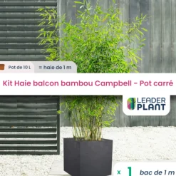 Leaderplant - Kit bambou campbell 10l avec bac pour balcon Online