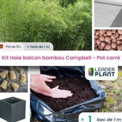 Leaderplant - Kit bambou campbell 10l avec bac pour balcon Online