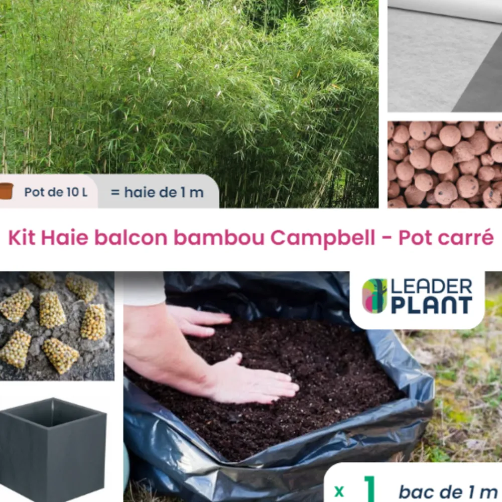 Leaderplant - Kit bambou campbell 10l avec bac pour balcon Online