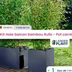 Leaderplant - Kit bambou rufa 10l avec bac pour balcon Outlet